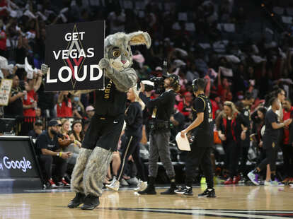 Las Vegas Aces mascot BUCKET$