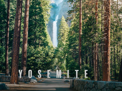 lower yosemite falls through the trees on a sunny day in yosemite valley