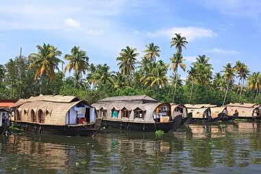 thatched houseboats on a river in India with palm trees behind them